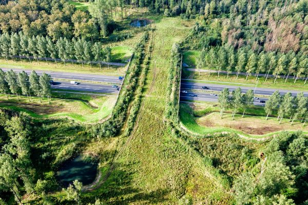 ECOBRIDGE