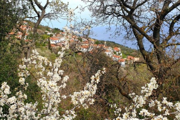 Ένας μικρός, σχεδόν ερημωμένος οικισμός της Χίου ξαναβρίσκει ζωή χάρη στην τέχνη, την αγάπη και την πρωτοβουλία της Μαρκέλλας Τσακού.