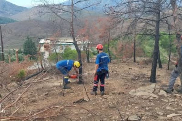 Η ομάδα "Ο" ξεκίνησε τους καθαρισμούς των καμένων εκτάσεων