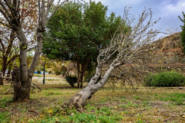 Καταστροφές από την κακοκαιρία "Bora" στην Θεσσαλονίκη, Κυριακή 1 Δεκεμβρίου 2024. 
(ΡΑΦΑΗΛ ΓΕΩΡΓΙΑΔΗΣ/EUROKINISSI)