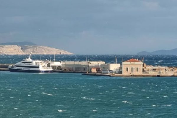 TELVNEIO 1