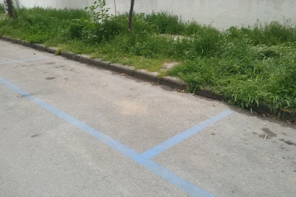 Xorta poli