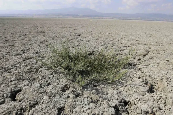 erimopoiisi1_ecogaia.jpg